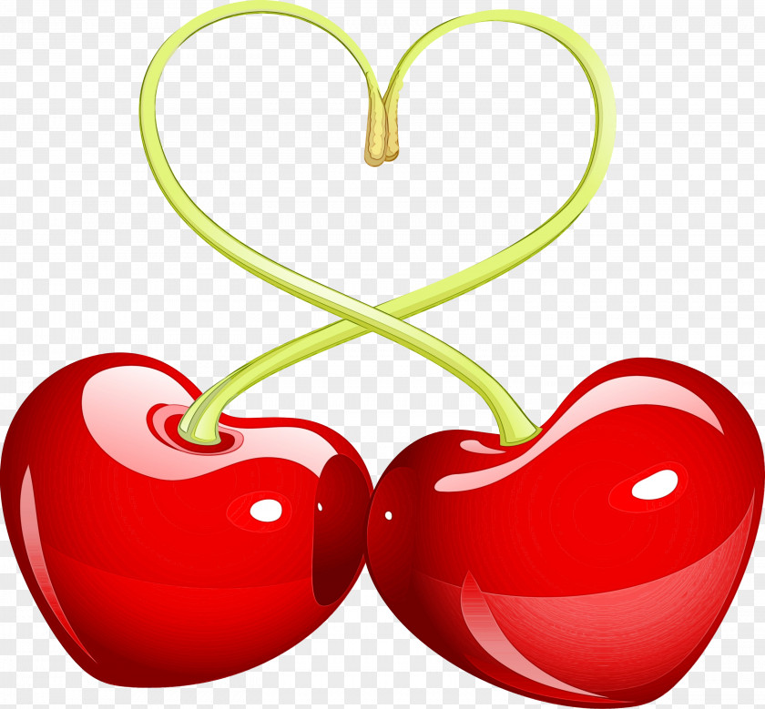 Drupe Plant Love Background Heart PNG