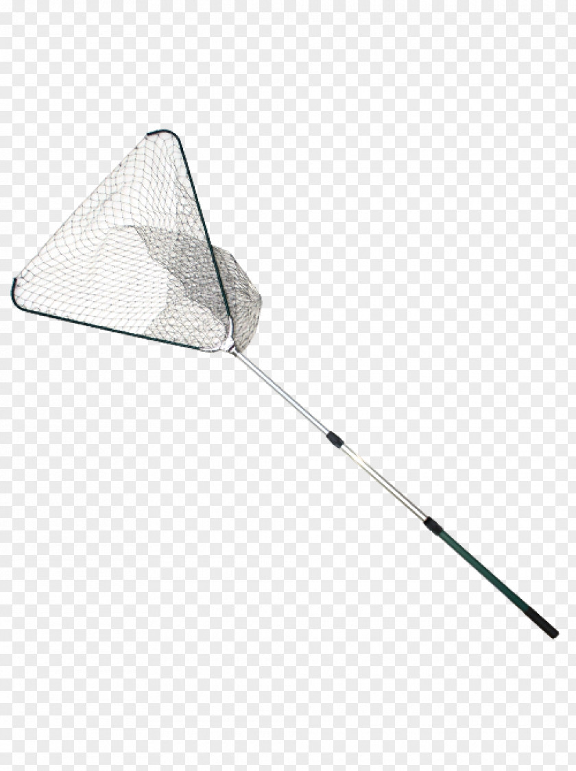 Grass Carp Line Triangle PNG