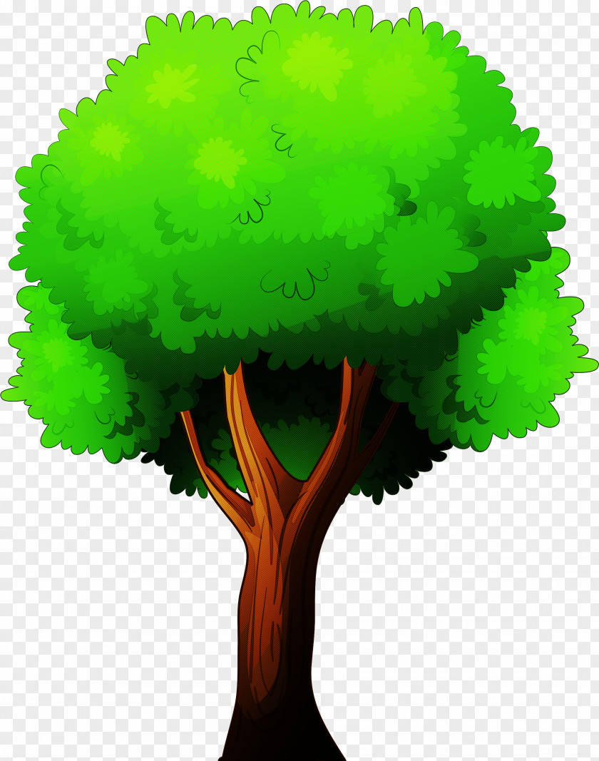 Green Tree Plant Grass Symbol PNG