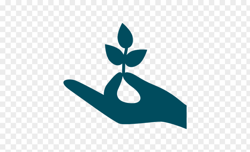 Logo Leaf Symbol Plant PNG