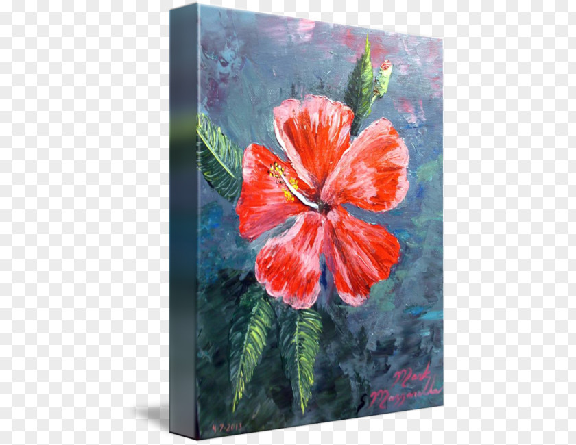 Watercolor Hibiscus Rosemallows Palette Knives Acrylic Paint Painting PNG