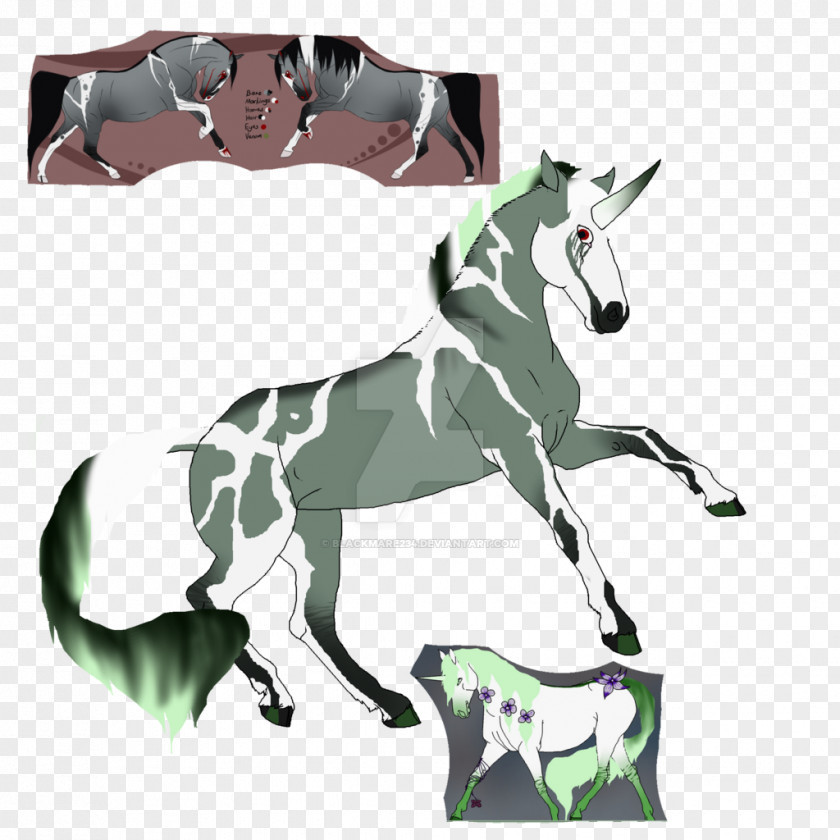 Horse Tack Pack Animal PNG