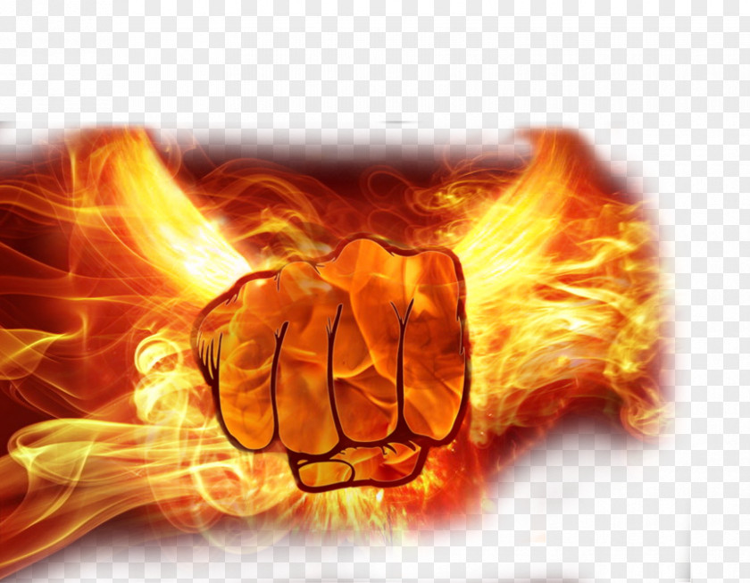 Seize The Flame Fist Fire PNG