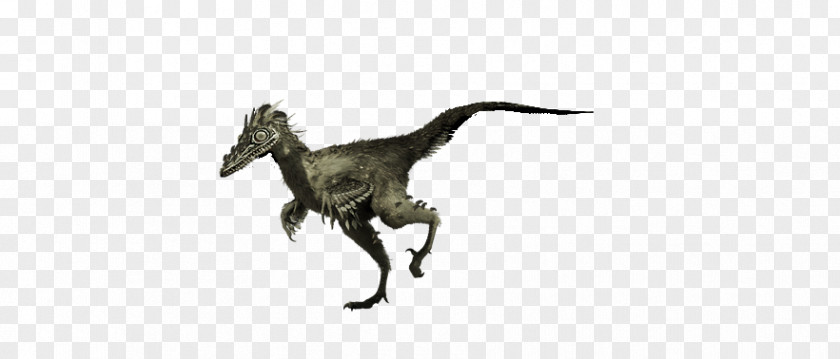 Troodon Velociraptor Tyrannosaurus White Animal PNG