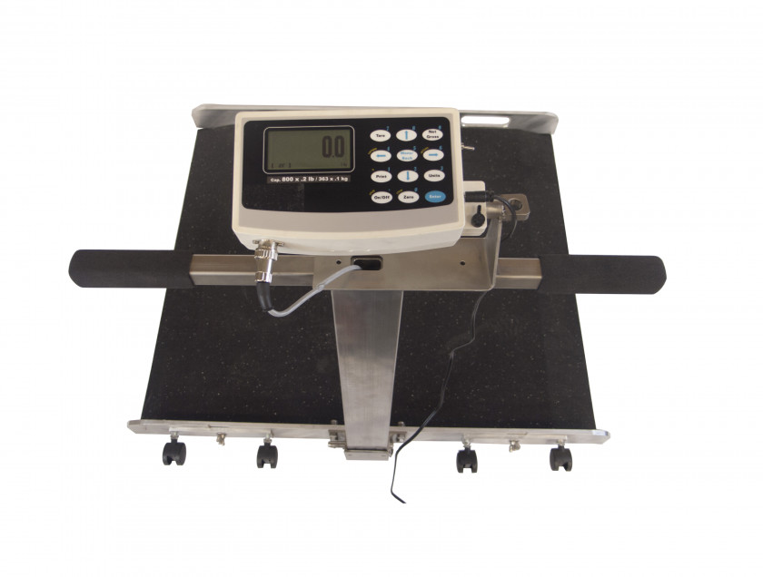 Weighing Scale Wheelchair Jewish People Old Age Accessibility Measuring Scales PNG