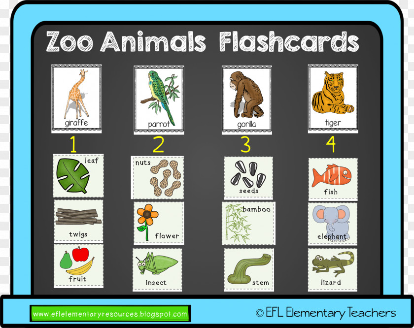 Zoo Part TeachersPayTeachers Animal Flashcard PNG