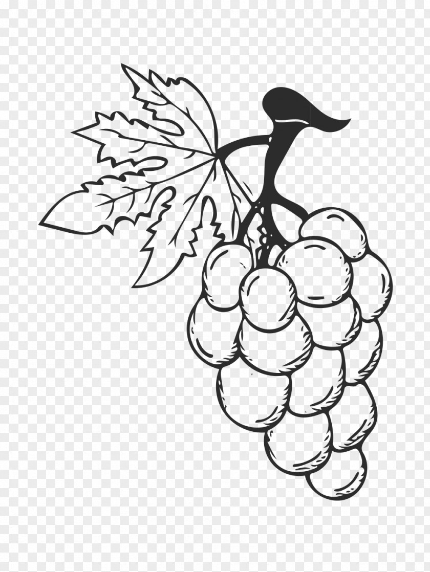Cartoon Painted Grape Fruit Red Wine PNG