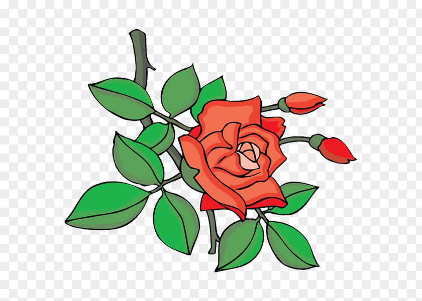 Design Garden Roses Cartoon Floral Clip Art PNG