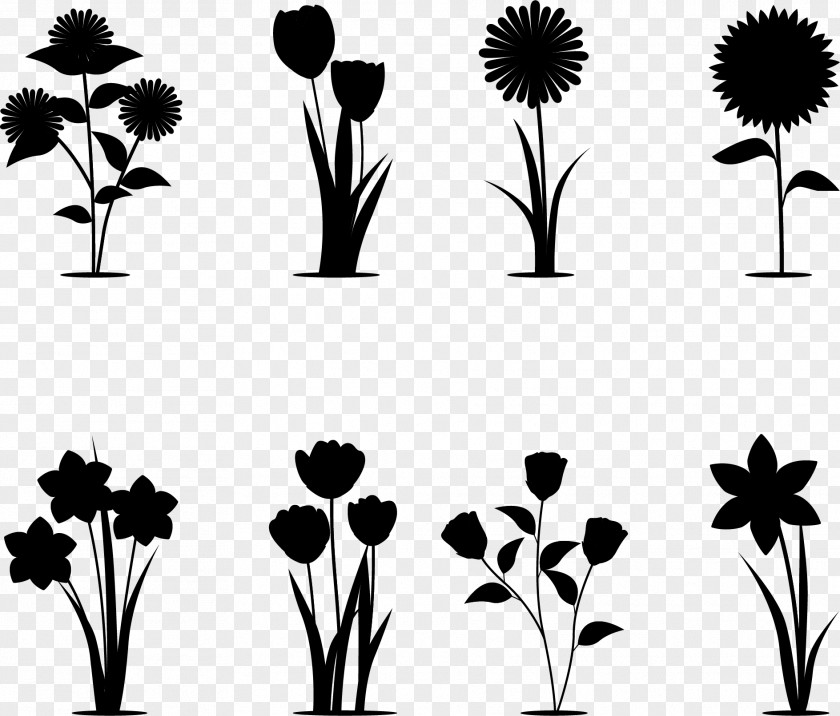 Euclidean Vector Flower Floral Design Silhouette PNG