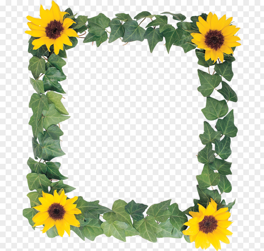 Sunflower Frame Common Picture Clip Art PNG