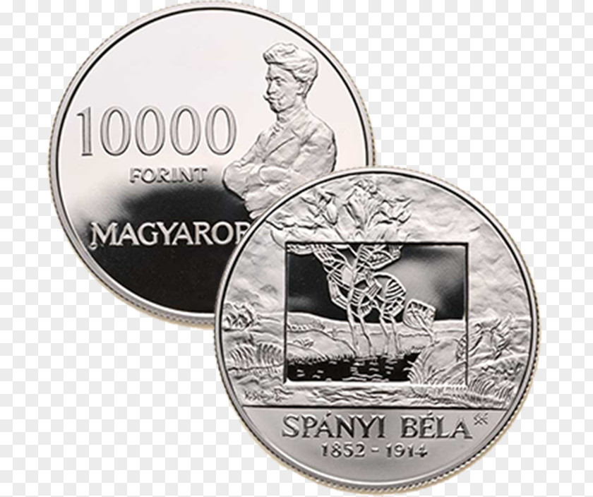 Coin Silver PNG