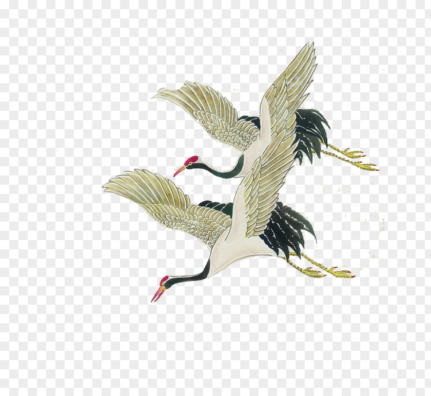 Crane Bird Red-crowned Painting Illustration PNG