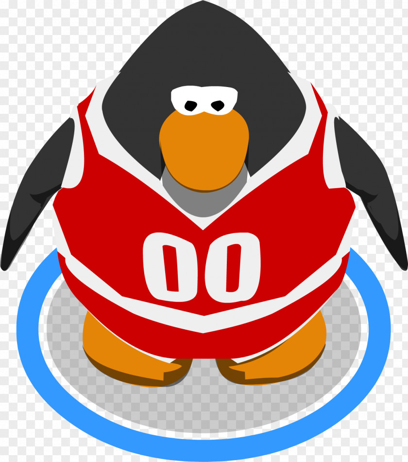 King Penguin Cartoon Bird PNG