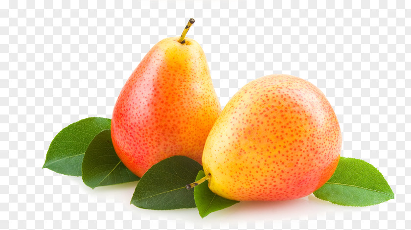 Pear Fruit Asian European Perry Tree PNG