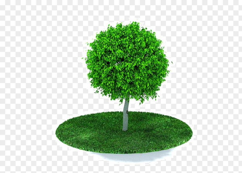 Tree Wavefront .obj File AutoCAD DXF Clip Art PNG