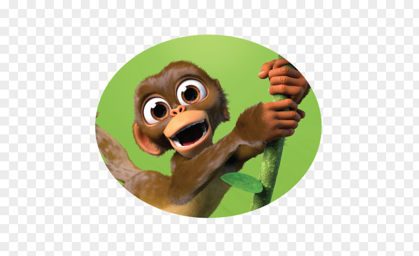 Monkey Orangutan Primate Ape Eating PNG