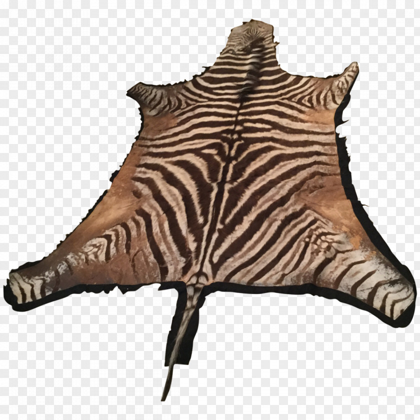 Zebra Rug Horse Fur Carpet Tiger PNG