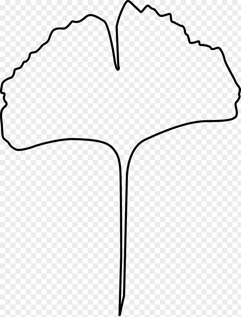 Clip Art Angle Product Line Leaf PNG