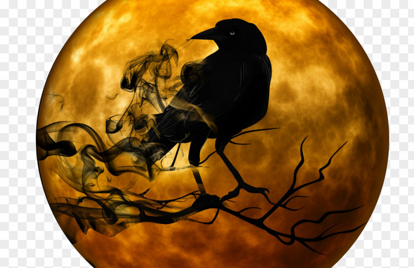 Crow Narrative YouTube Halloween Ghost Story PNG