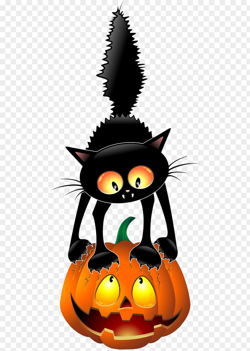 Halloween Cat Black Clip Art PNG