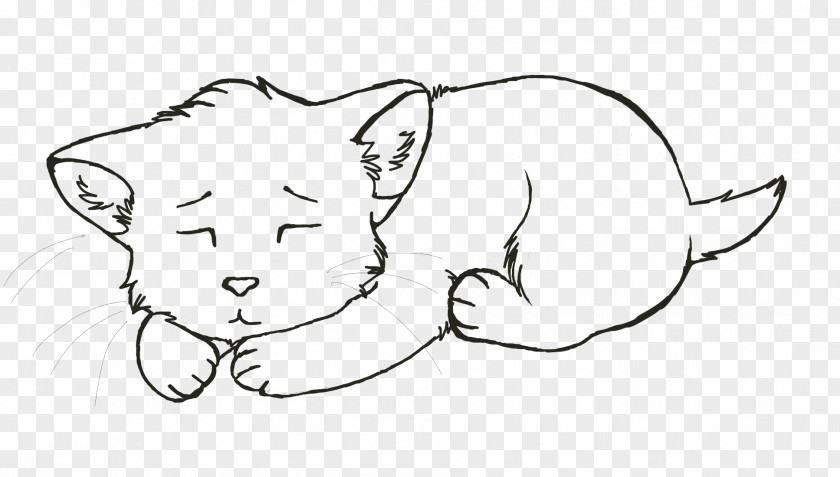 Lion Whiskers Cat Sketch Snout PNG