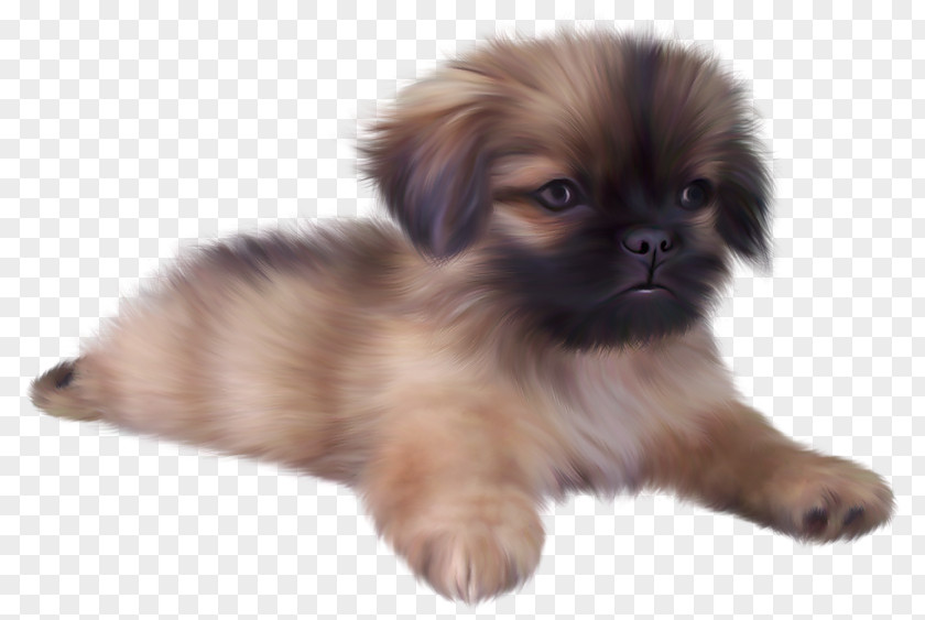 Painted Cute Puppy Clipart Yorkshire Terrier Screenshot PNG