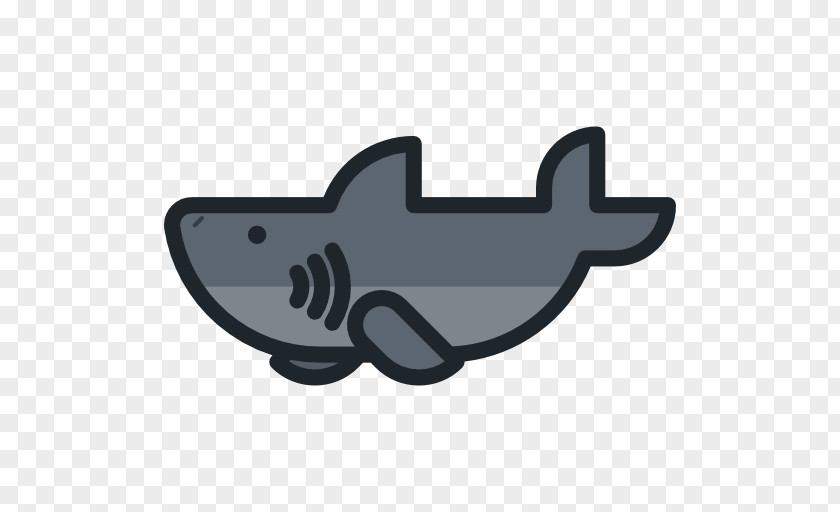 Shark Download PNG