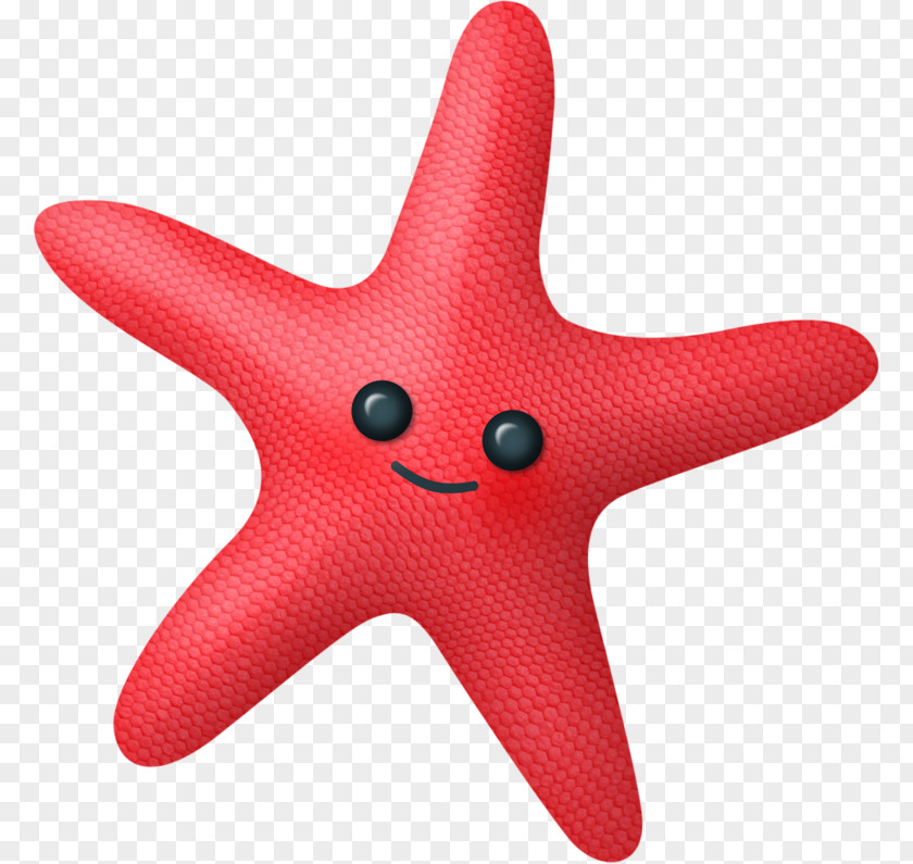 Starfish Cartoon Sea Clip Art PNG