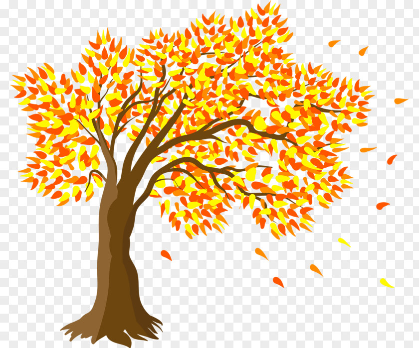 Tree Drawing Clip Art PNG