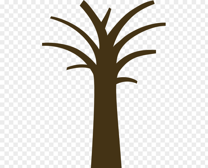 Tree Palm Trees Clip Art Trunk Branch PNG