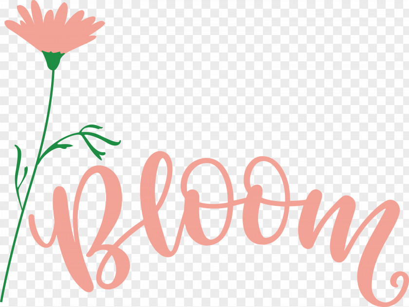 Bloom Spring Flower PNG