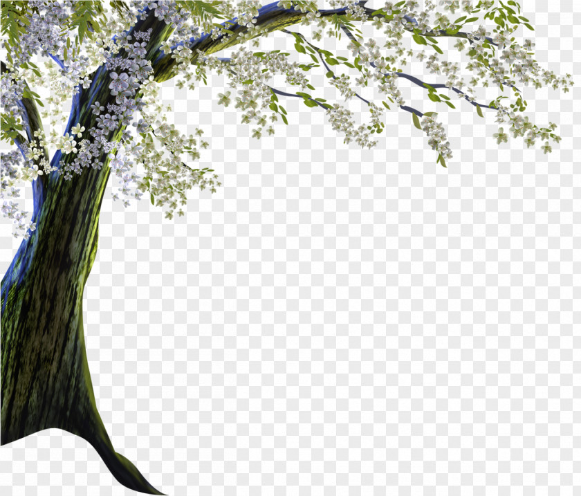Blossom Tree Landscape Nature Drawing Clip Art PNG