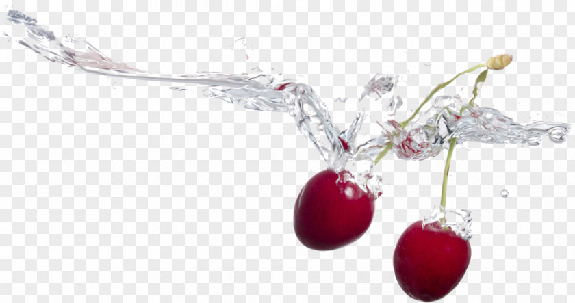 Cherry Fruit Water Music Body Jewellery PNG Jewellery, cherry clipart PNG