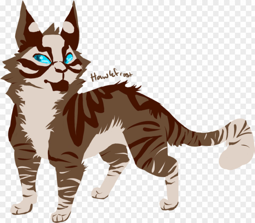 Design Whiskers American Wirehair Drawing DeviantArt PNG