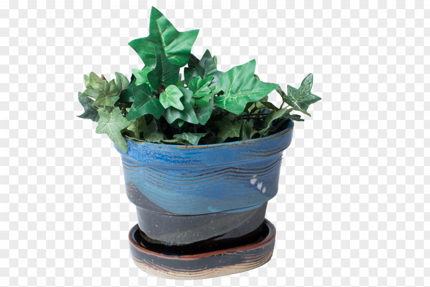 Leaf Plastic Flowerpot Houseplant Herb PNG