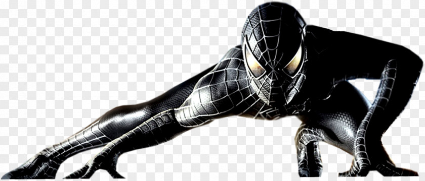 Spider Spider-Man 3 Harry Osborn Film Series PNG