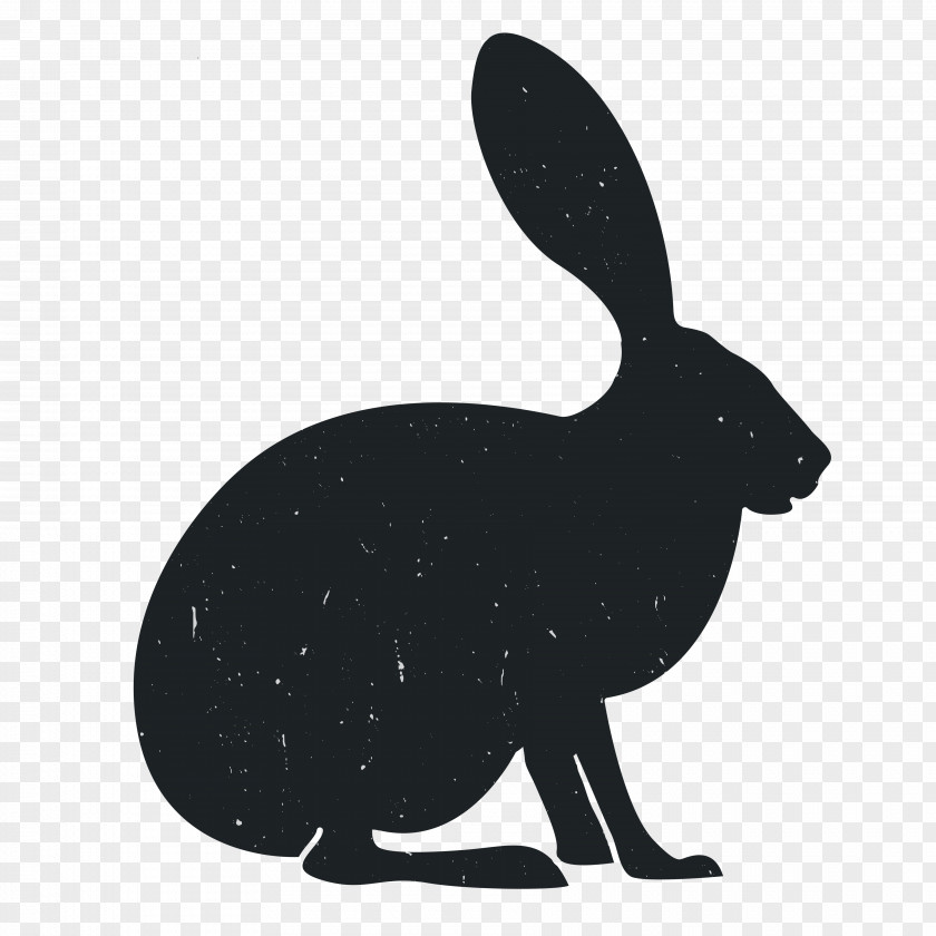 Animal Silhouettes Domestic Rabbit Hare Black And White PNG