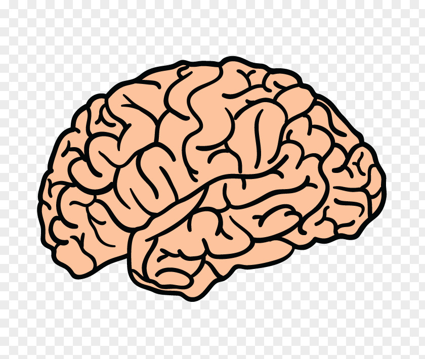 Brain Blue Project Human Clip Art PNG