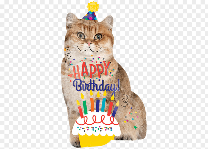 Cat Birthday Cake Kitten Balloon PNG