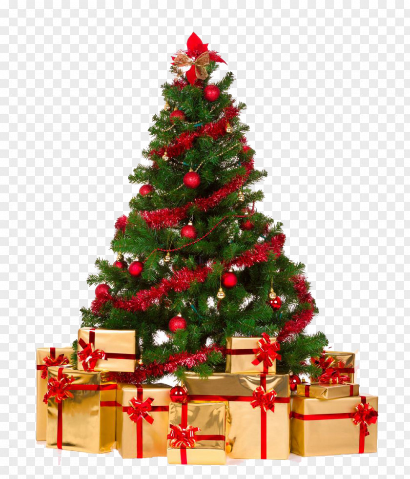 CHRISTMAS LIGHTS Artificial Christmas Tree Ornament PNG