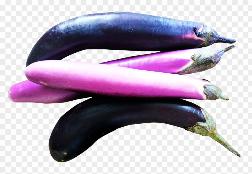 Eggplants Eggplant Vegetable Tomato PNG