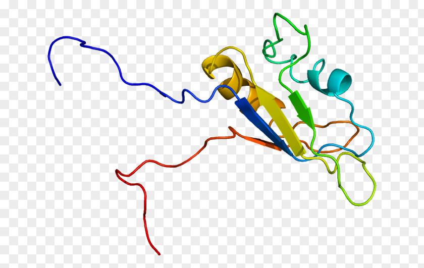 Ewing Sarcoma Breakpoint Region 1 RNA-binding Protein Gene PNG