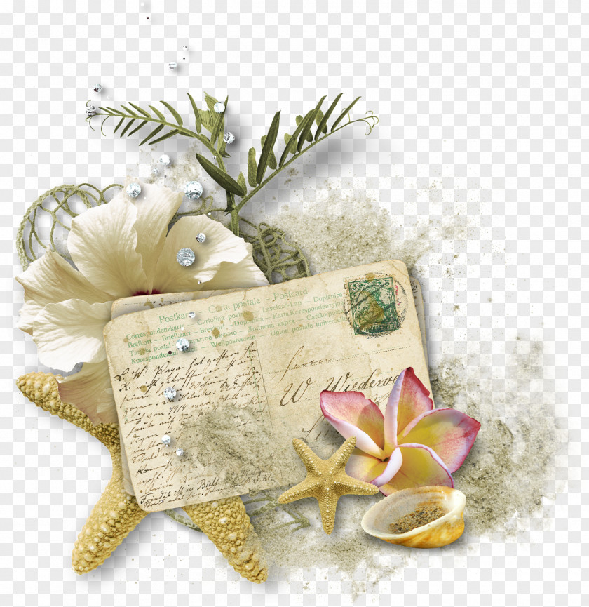 Flower Of The Sea Hit Single Summer Gift PNG