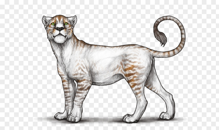 Lion Liger Jaguar Cat Whiskers PNG
