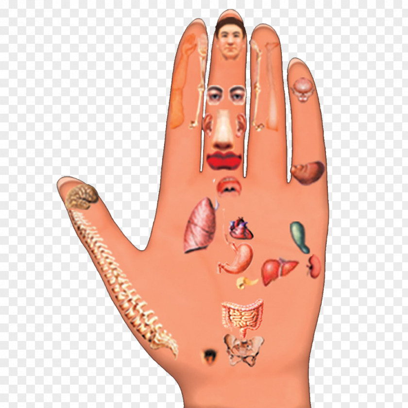 Nail Thumb Hand Model Tattoo PNG