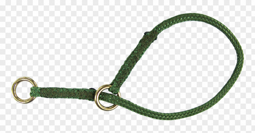 Collar Dog Key Chains Leash PNG