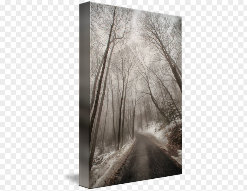 Road In The Winter Gallery Wrap Canvas To Wood PNG