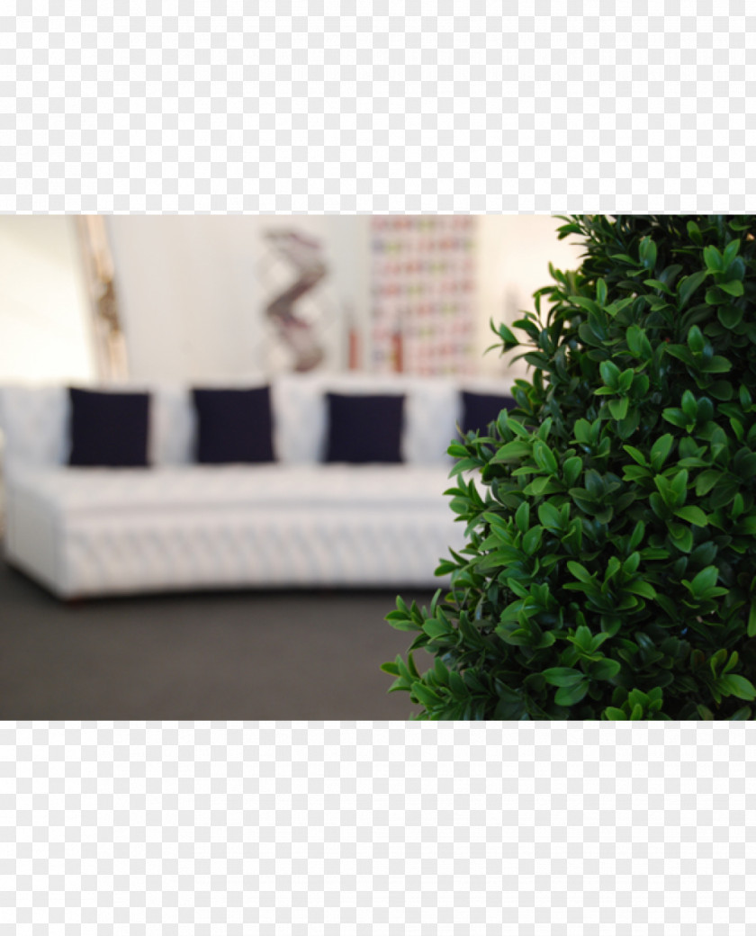 Angle Rectangle Wall Flowerpot Herb PNG