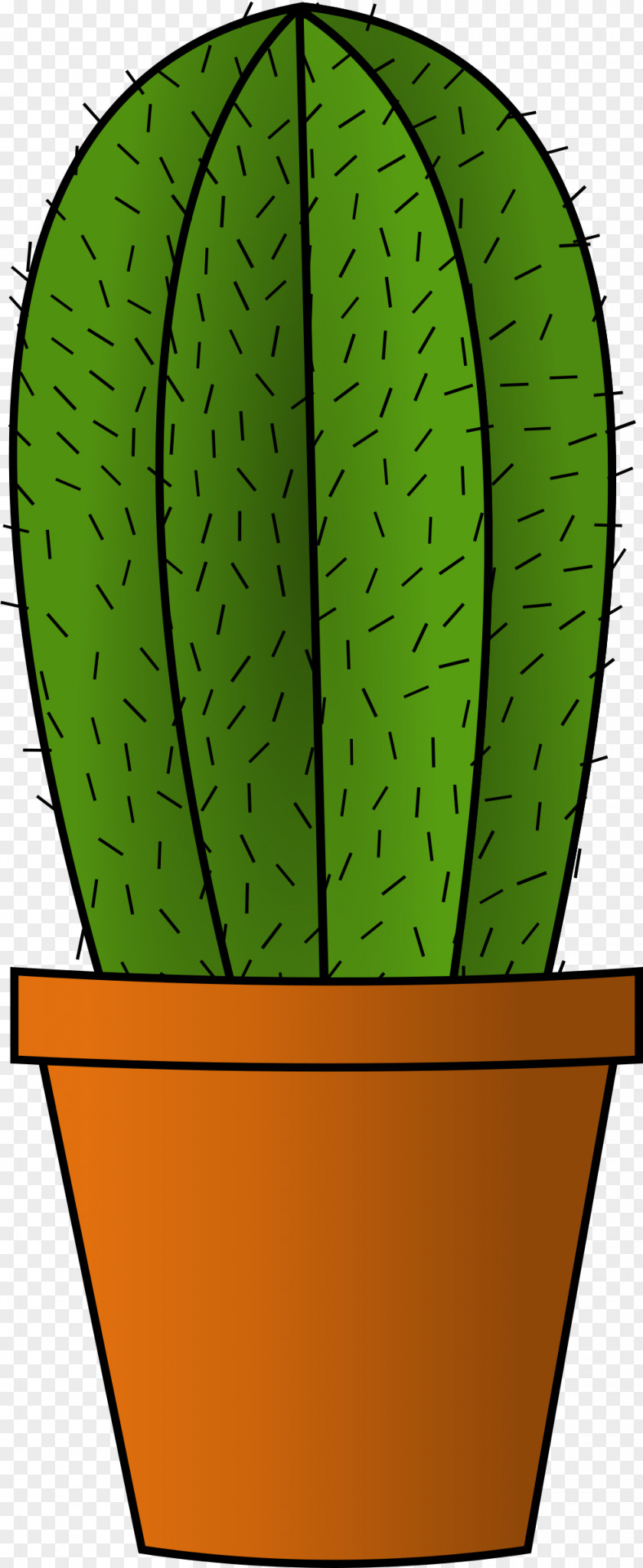 Cactus Cactaceae Plant Clip Art PNG