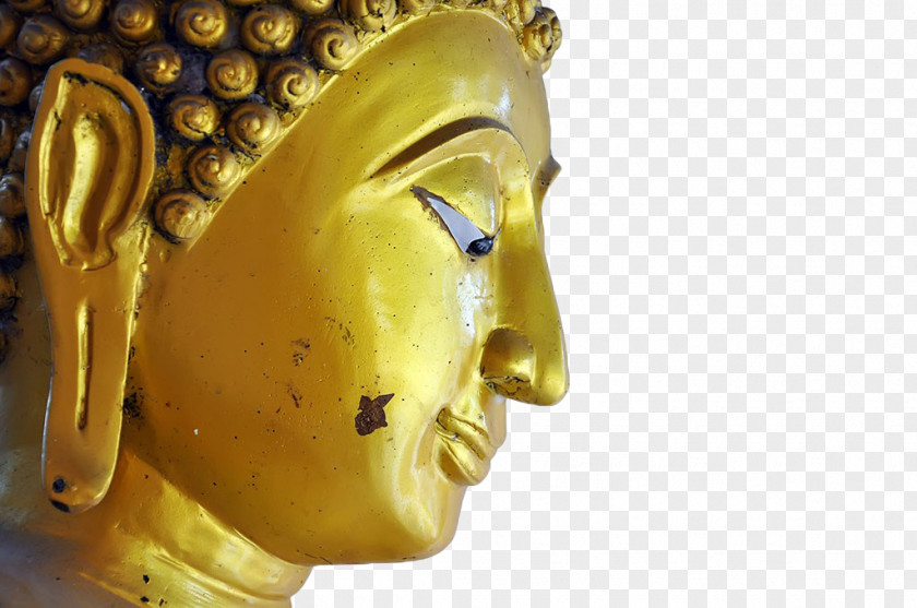 Gold-plated Buddha Head Like Gold Plating Buddhism Stock Photography PNG